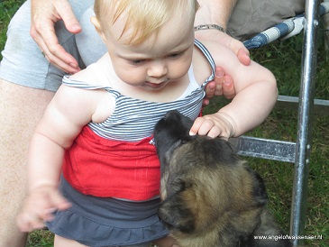 Pups met baby Alyssa, zo lief!